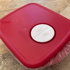 New Tupperware Rock N Serve 2 1/2 cup Rectangle Jewel Tone Red